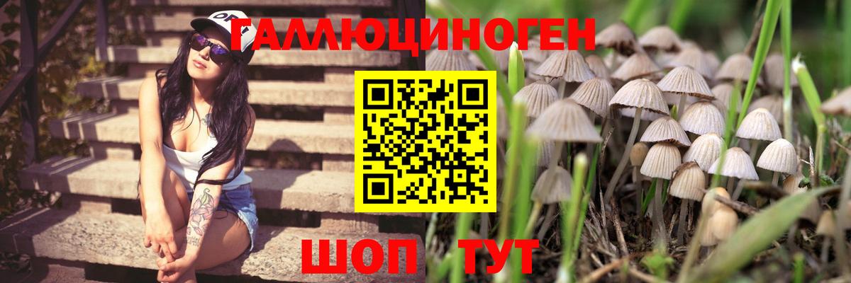 Благодарный  Псилоцибиновые грибы мицелий  Вход с VPN 